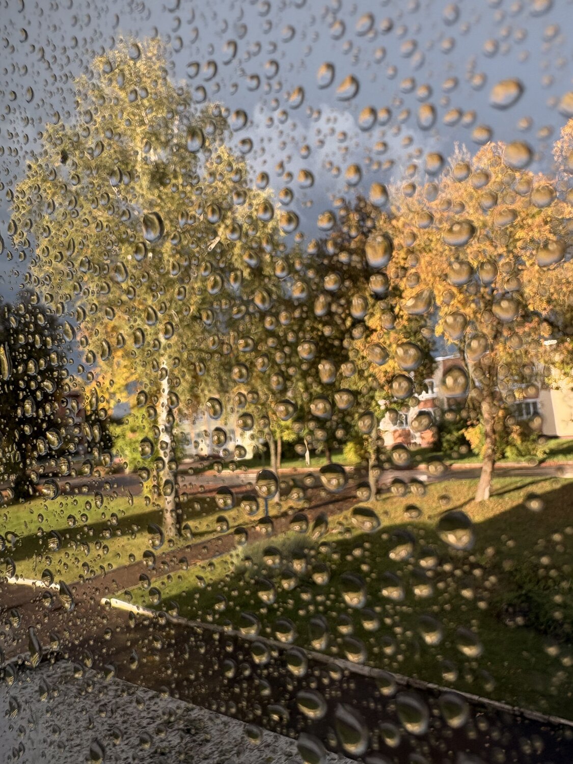 Photo #14124170