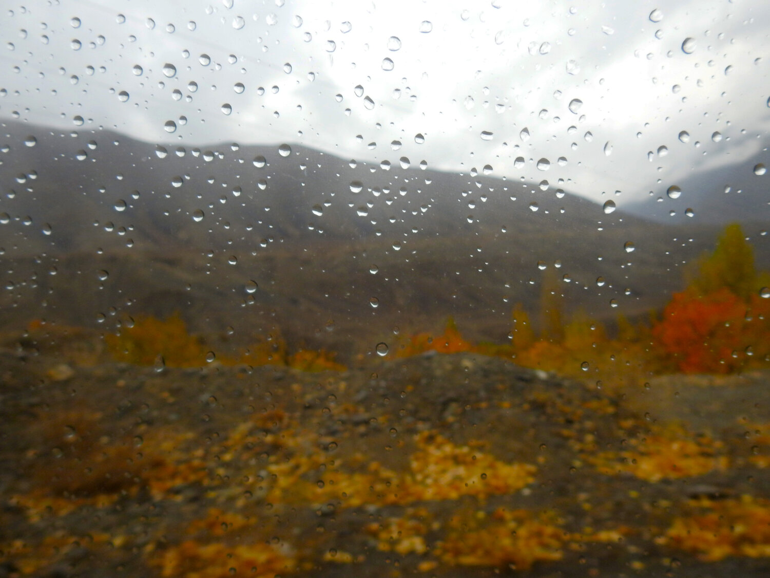 Photo #14124245