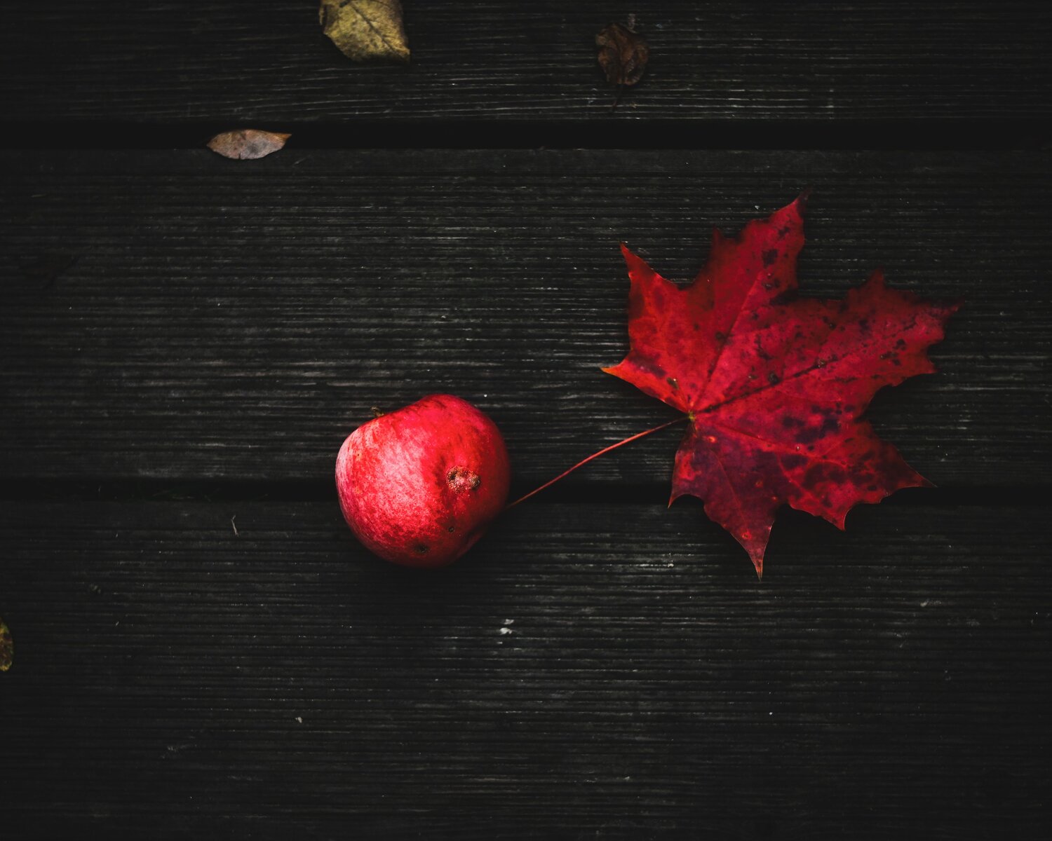 Photo #14124267