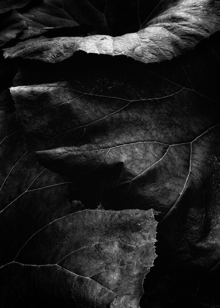 Photograph by Людмила М