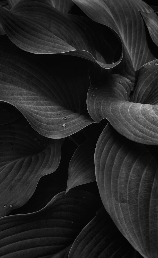 Photograph by Людмила М