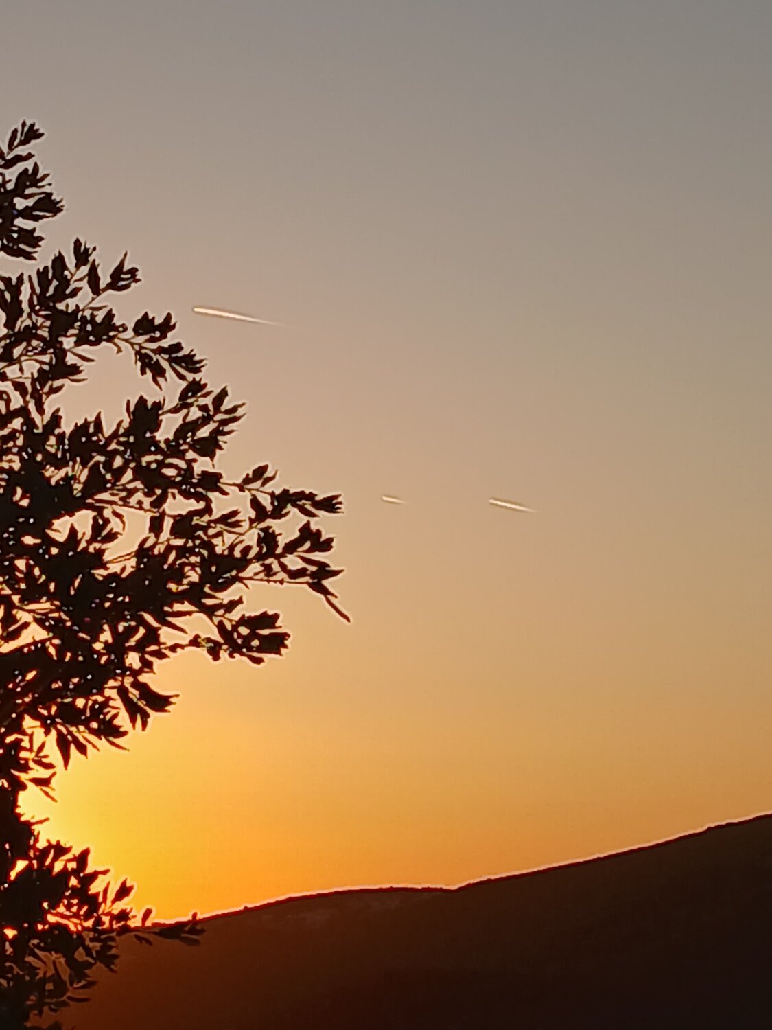Photo #14124473