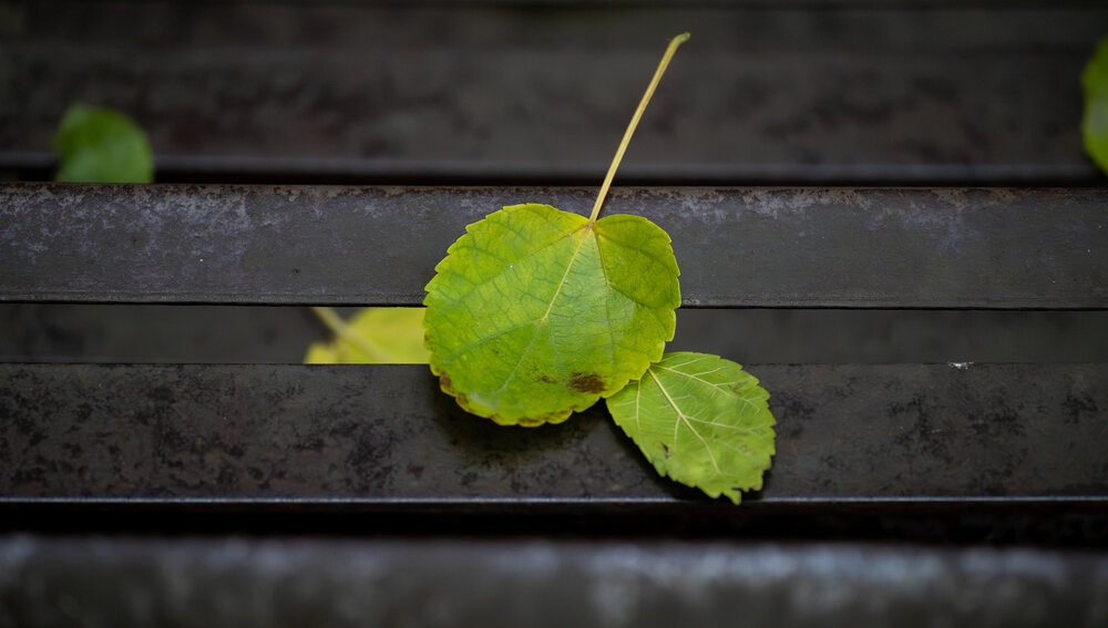 Photograph by Genadi Yakovlev