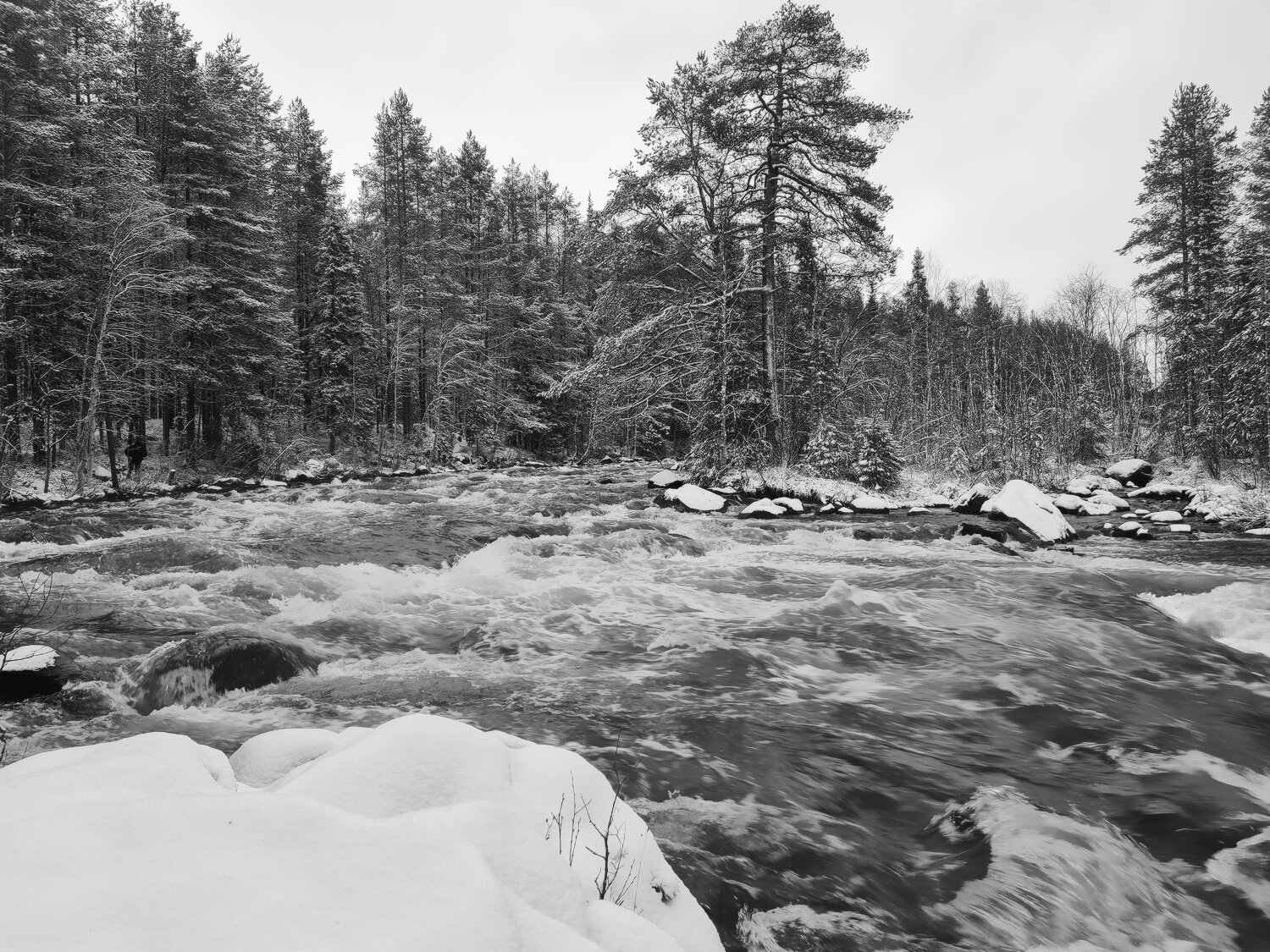 Photo #14124603