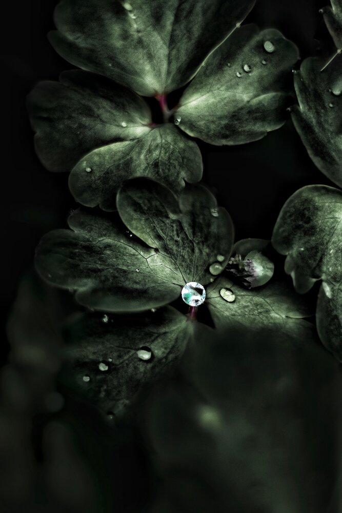 Photograph by Yuliya Karpova
