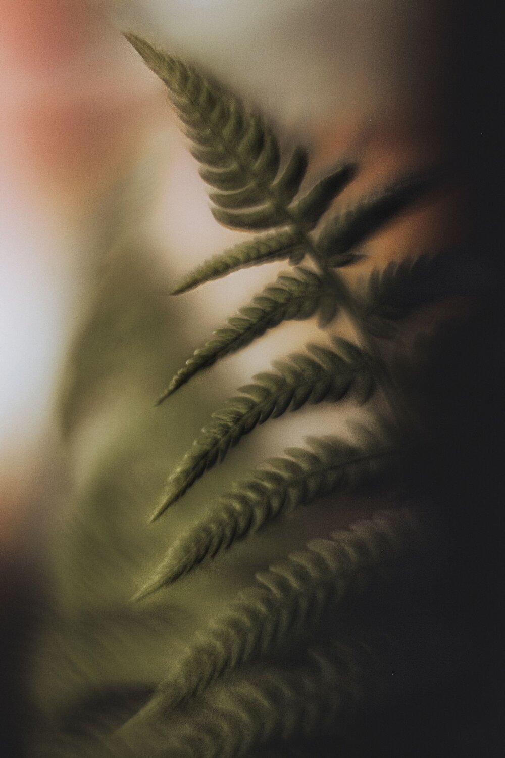 Photo #14124649
