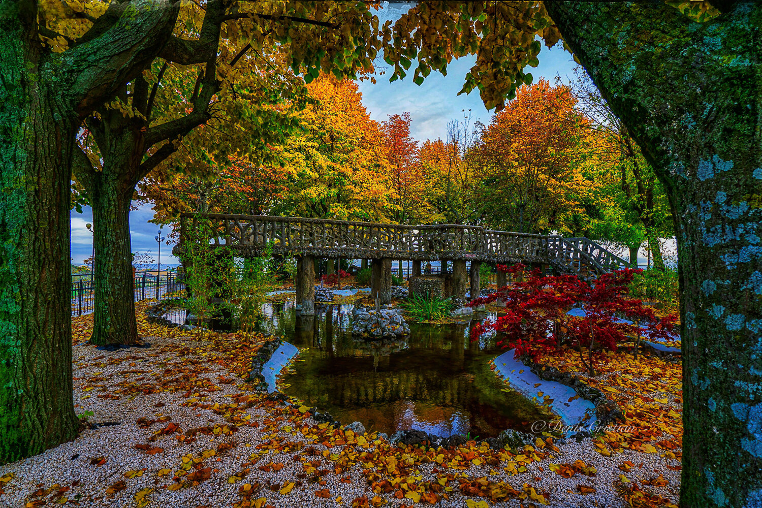 Photo #14124740