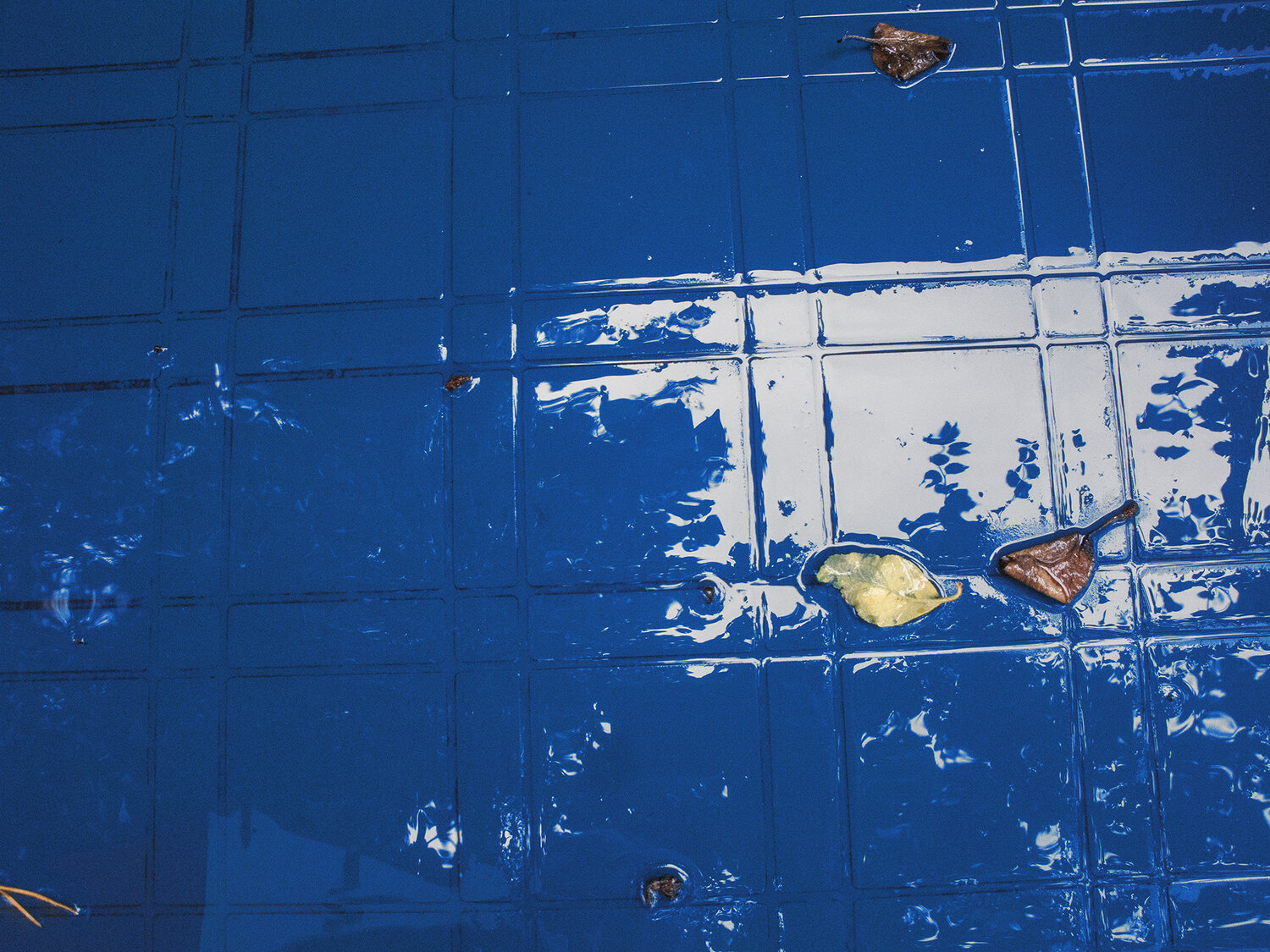Photo #14124744