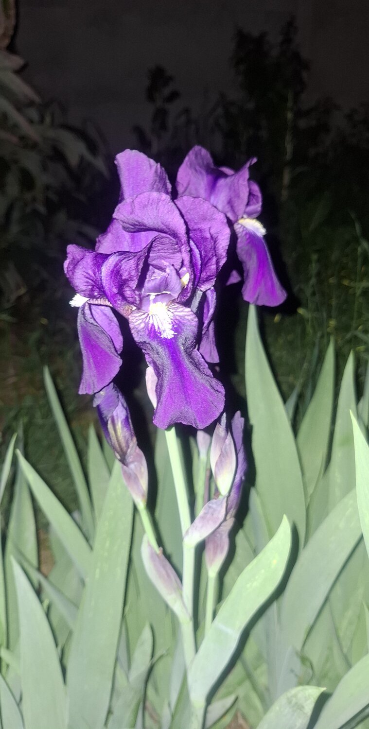 Photo #14124830