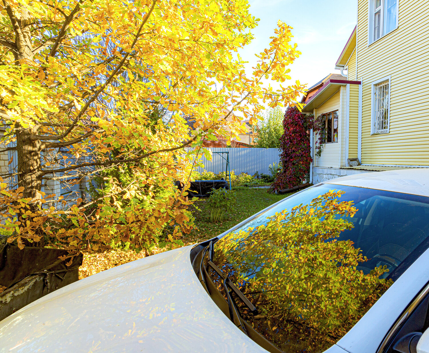 Photo #14125033