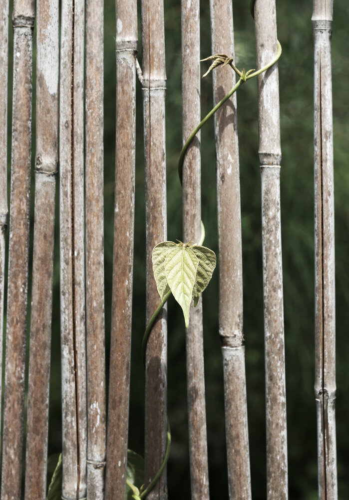 Photograph by Татьяна Михалевская