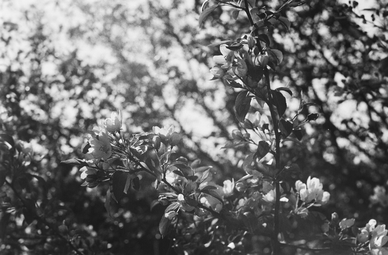 Photo #14125178