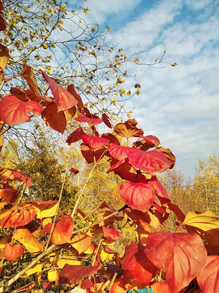 Photograph by Алексей