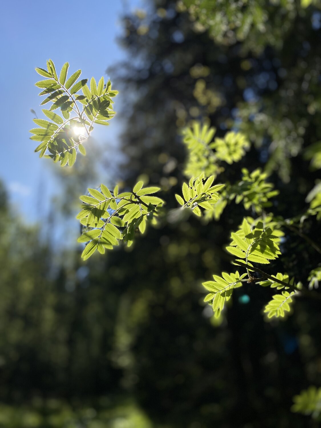 Photo #14125417