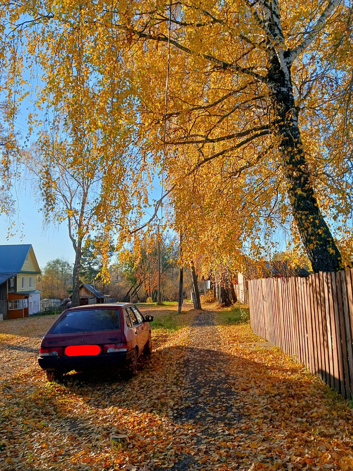 Photo #14125427