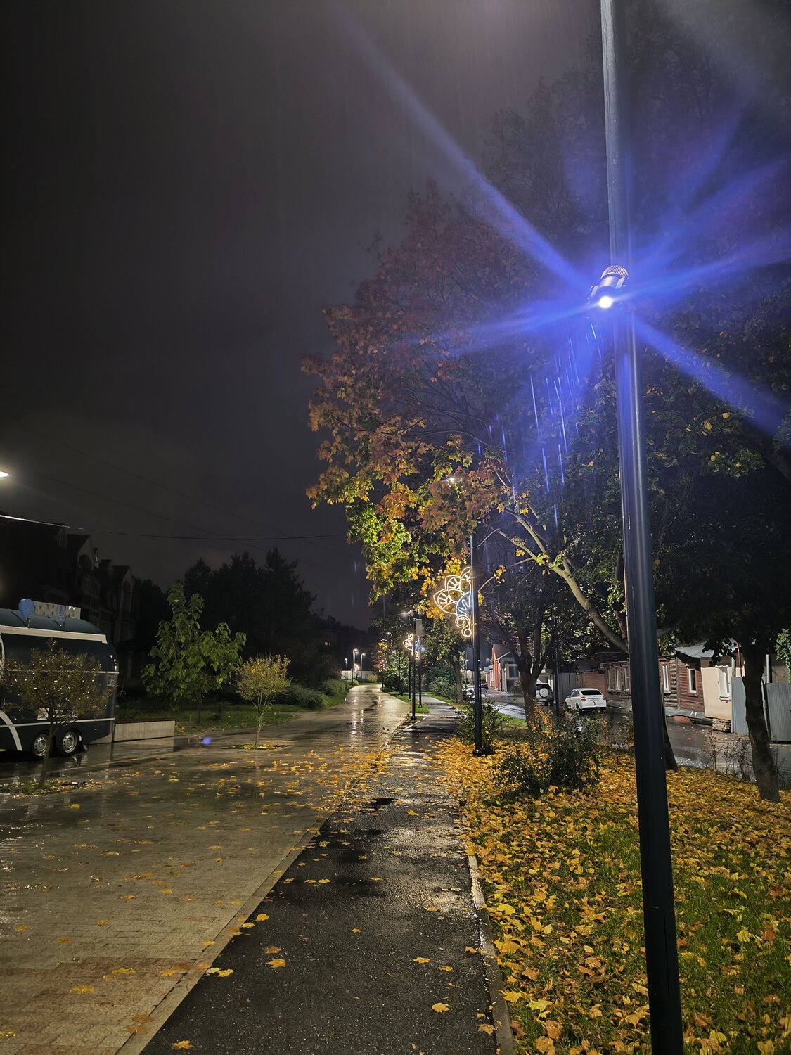 Photo #14125478