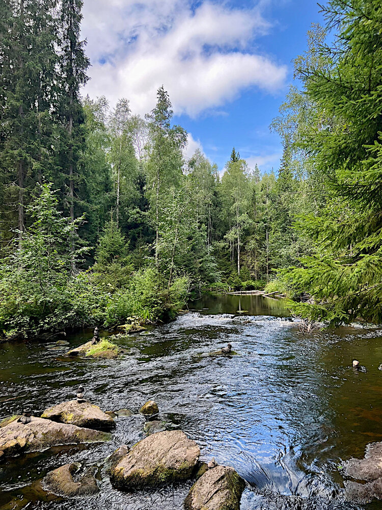 Симфония лесной воды / Symphony of Forest Water
