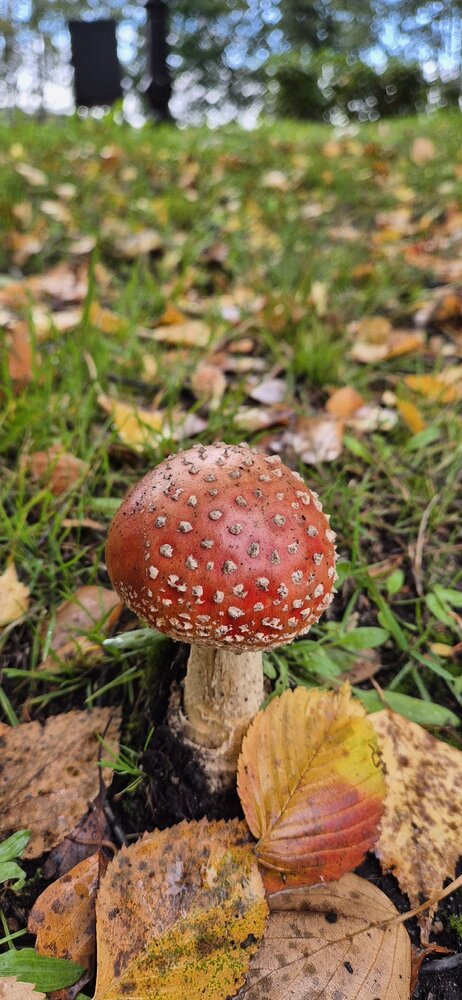 Photograph by Ольга Мусина