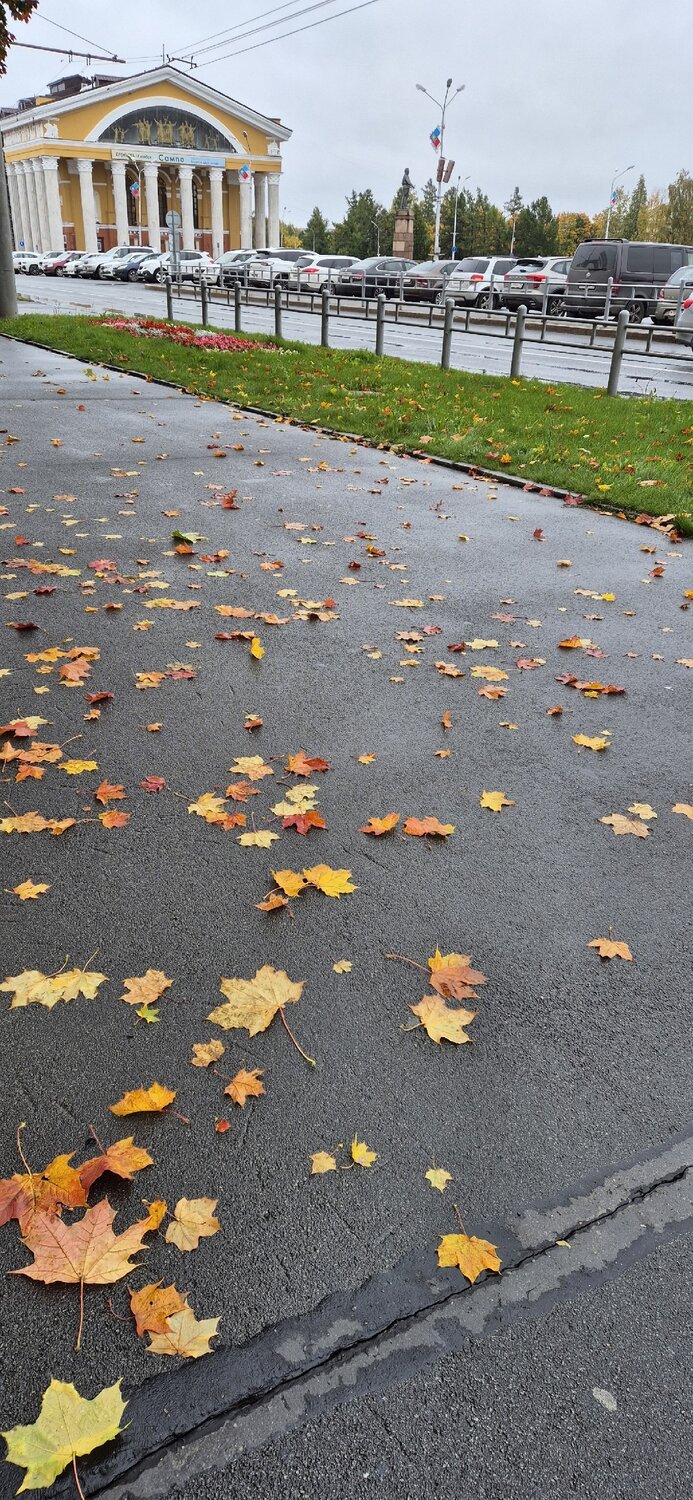 Photo #14125501