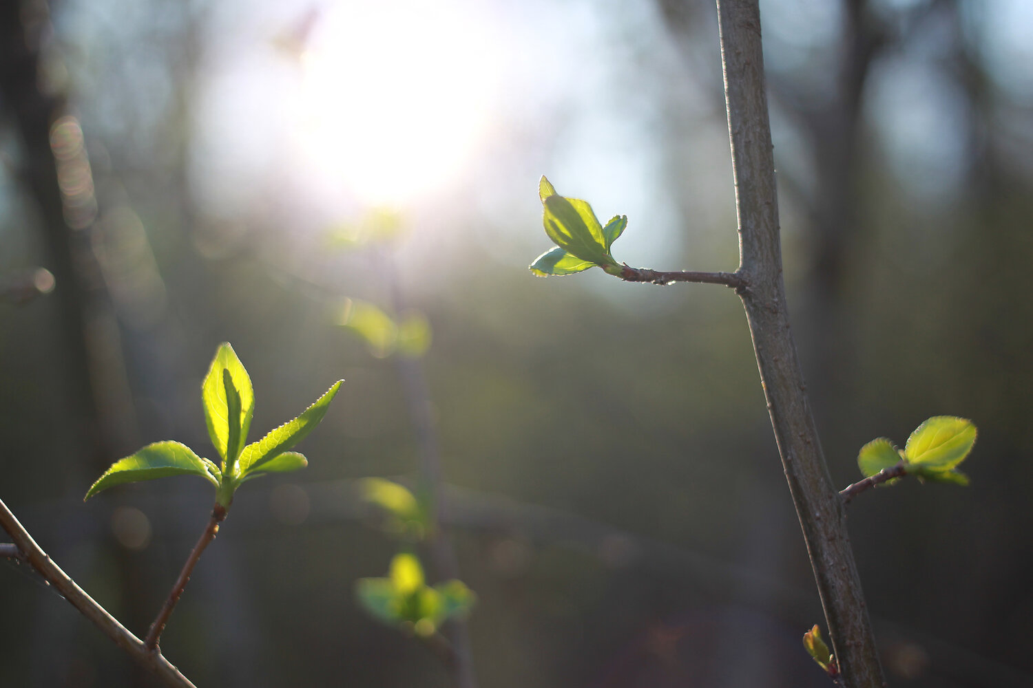 Photo #14125645