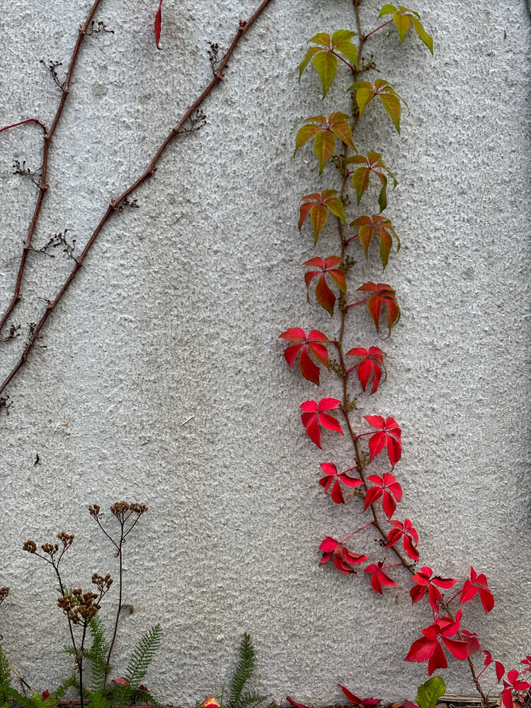 Photograph by Евгения Щербинина