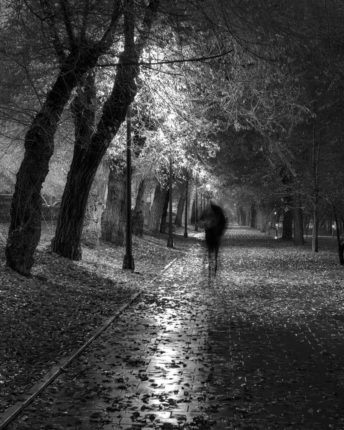 Ghost of Autumn