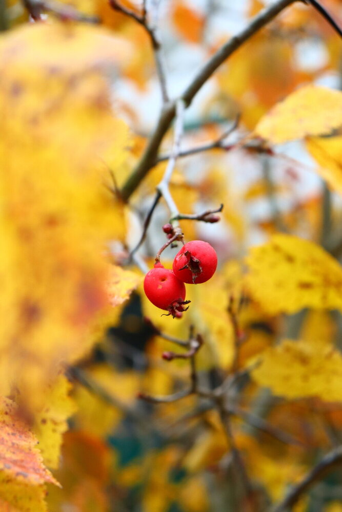 Photograph by Анастасия Пранович