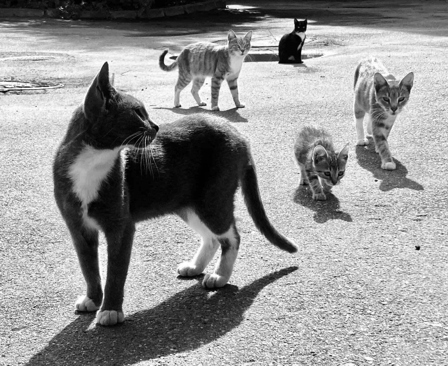 Photo #14126421