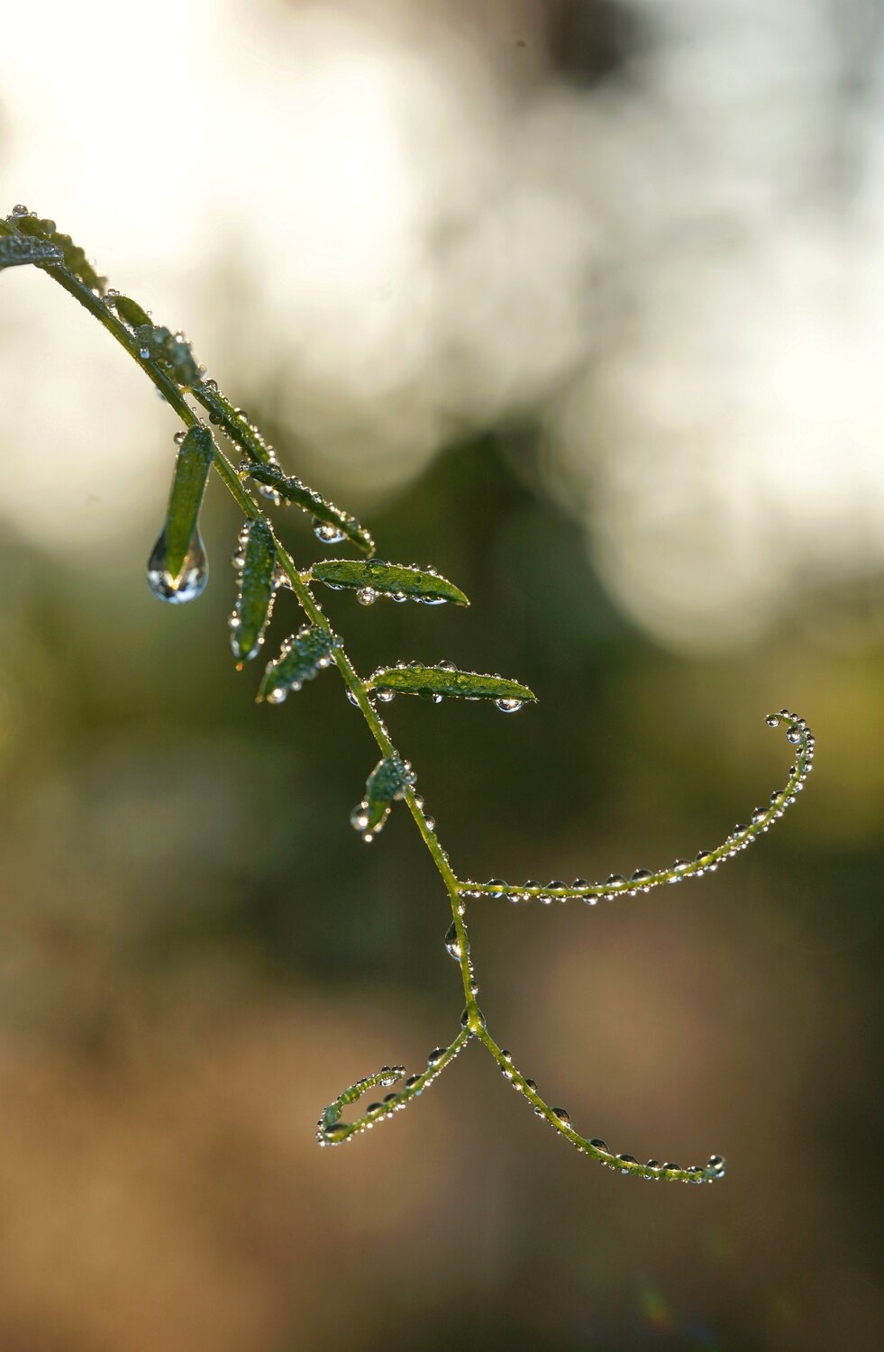 Photo #14126425