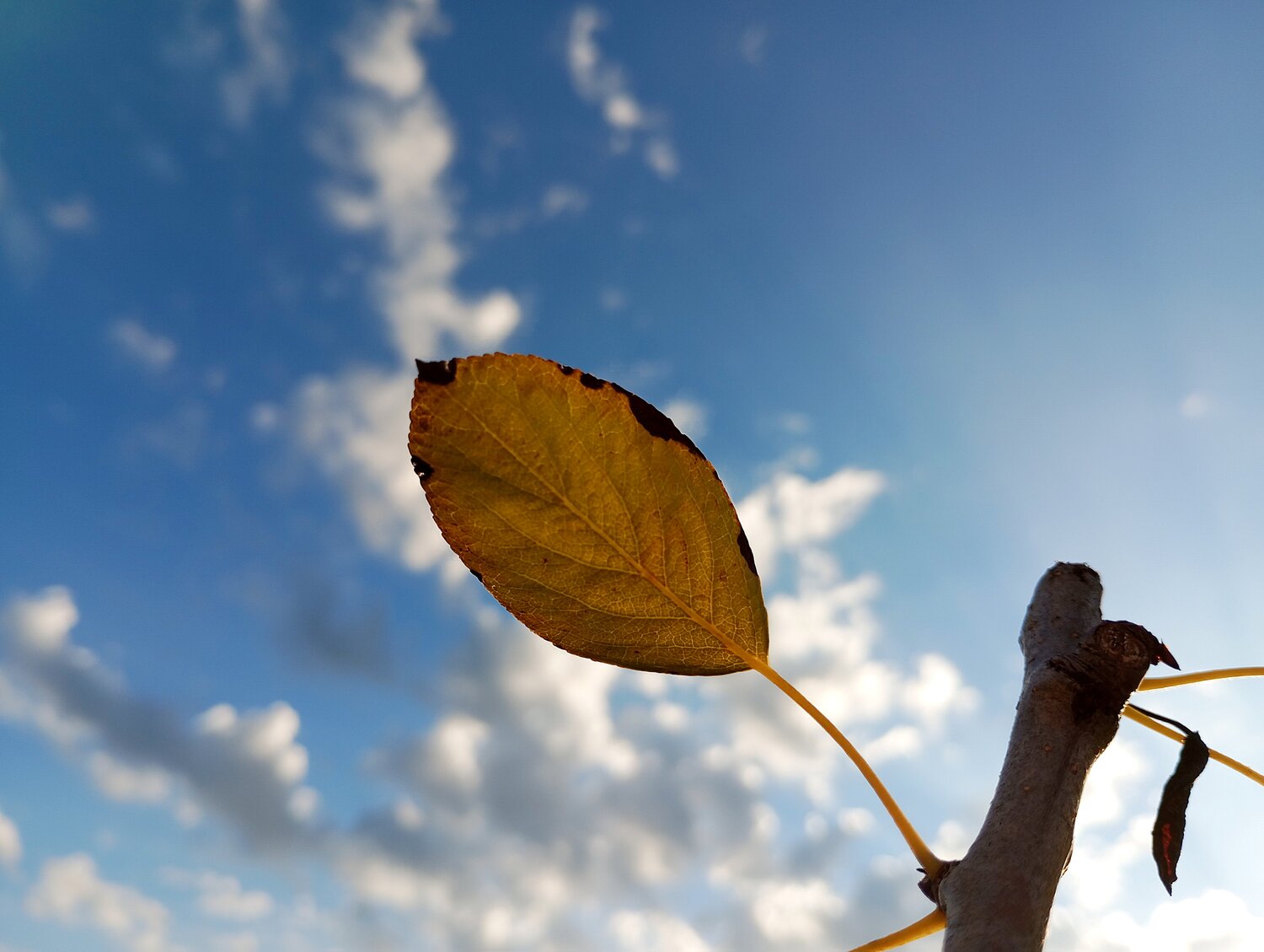 Photo #14126508