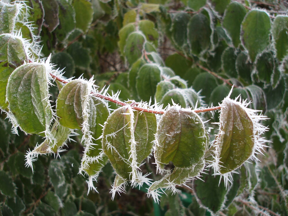 Photograph by Марина
