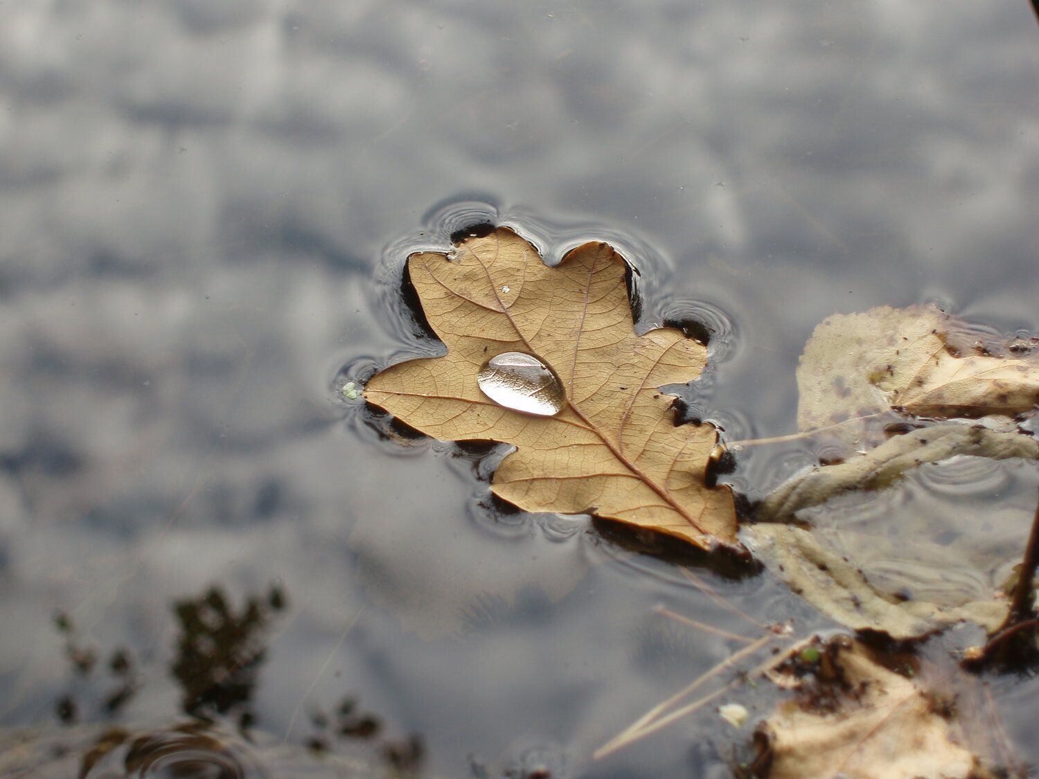 Photo #14126648