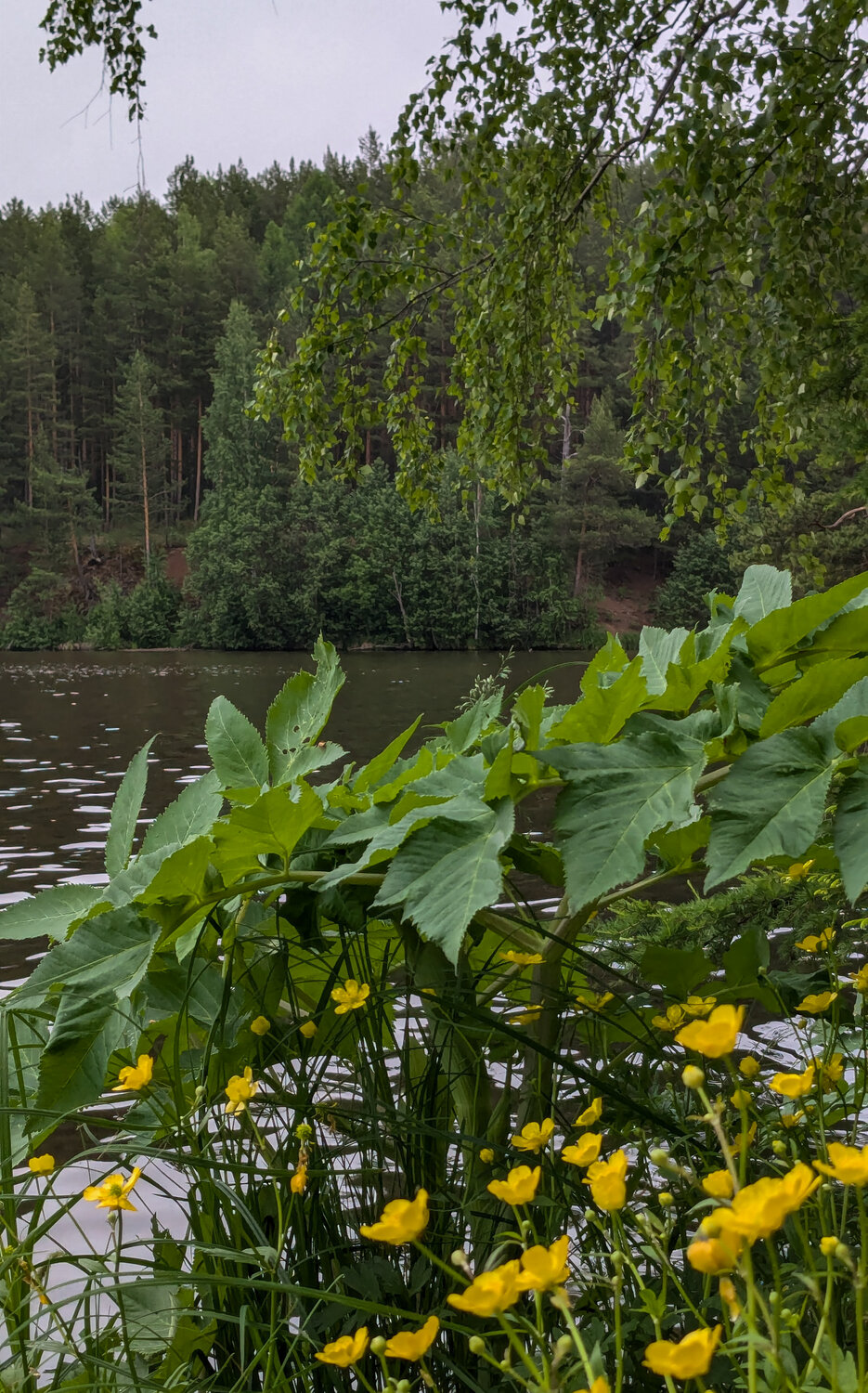 Photo #14126664