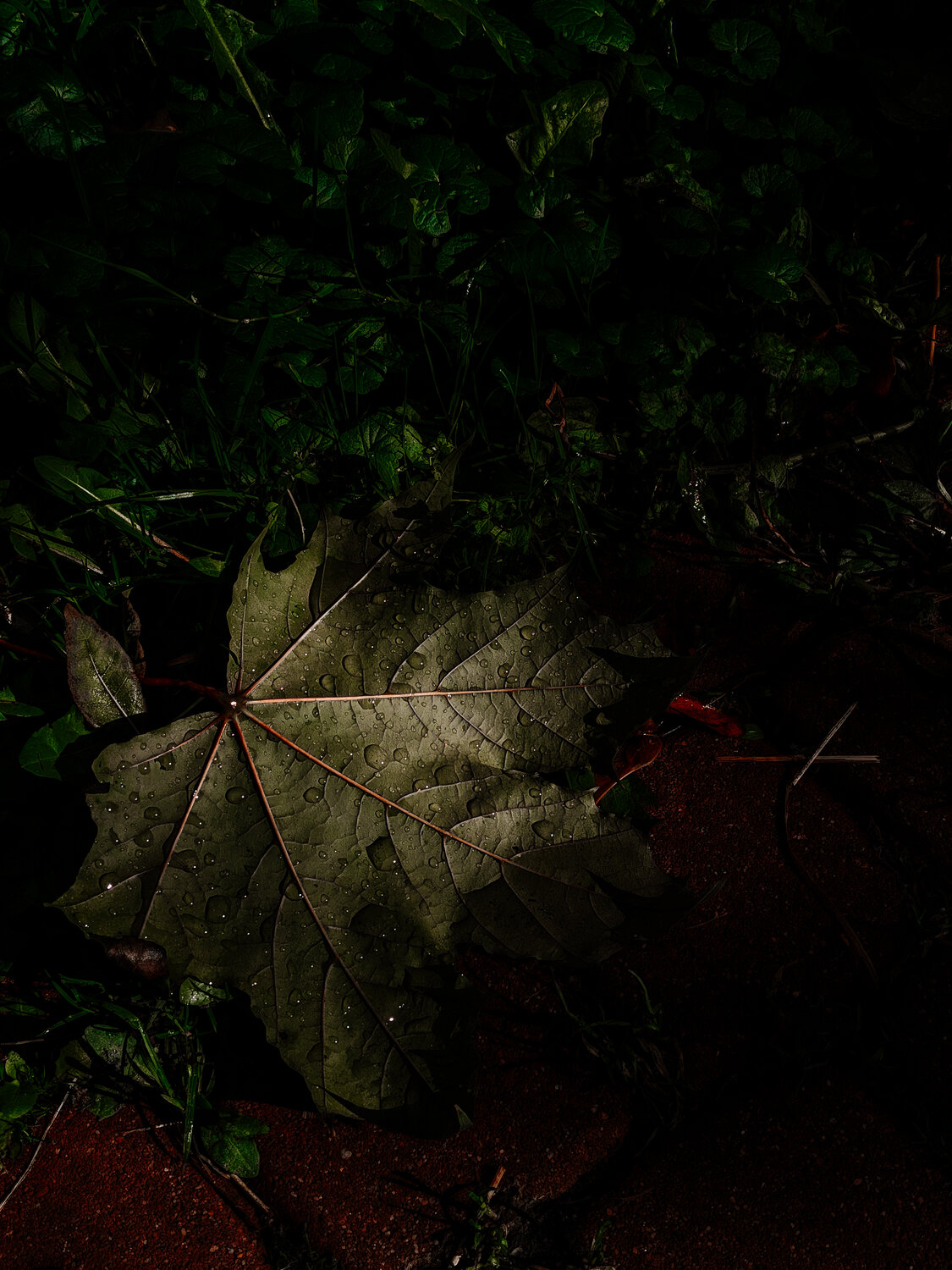 Photo #14126716