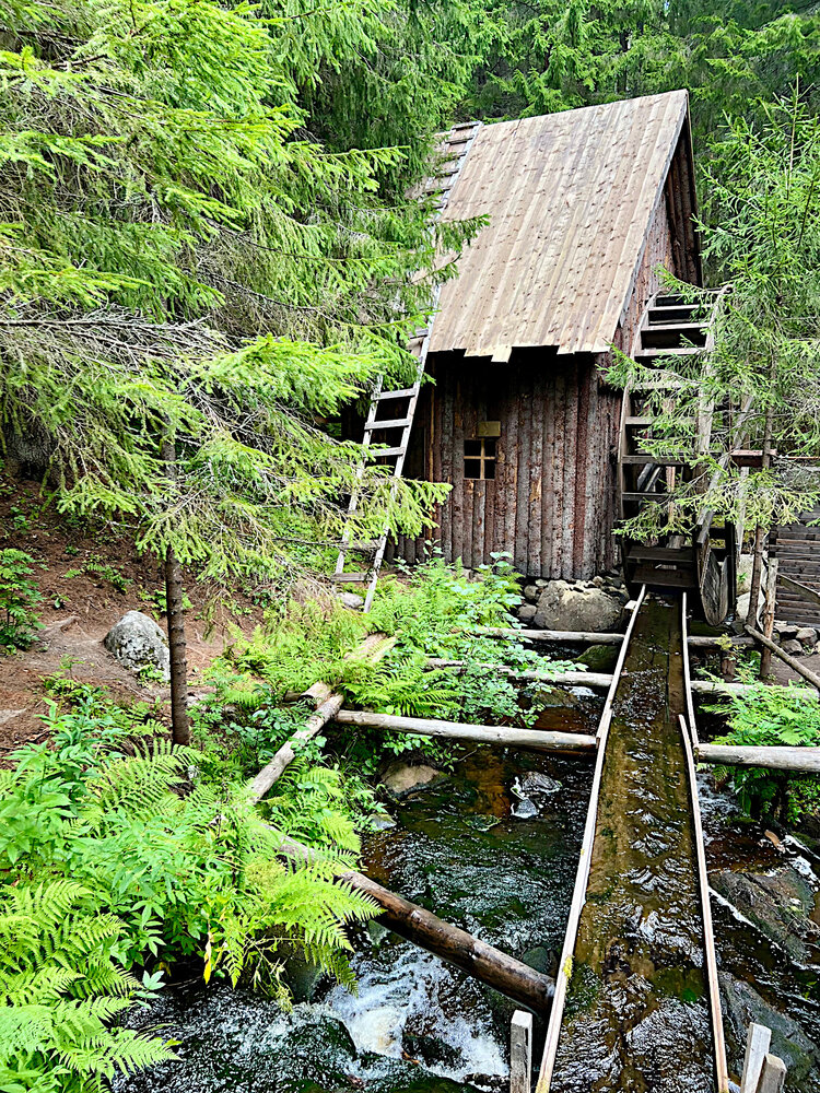 Легенды карельских лесов / Legends of Karelian Forests