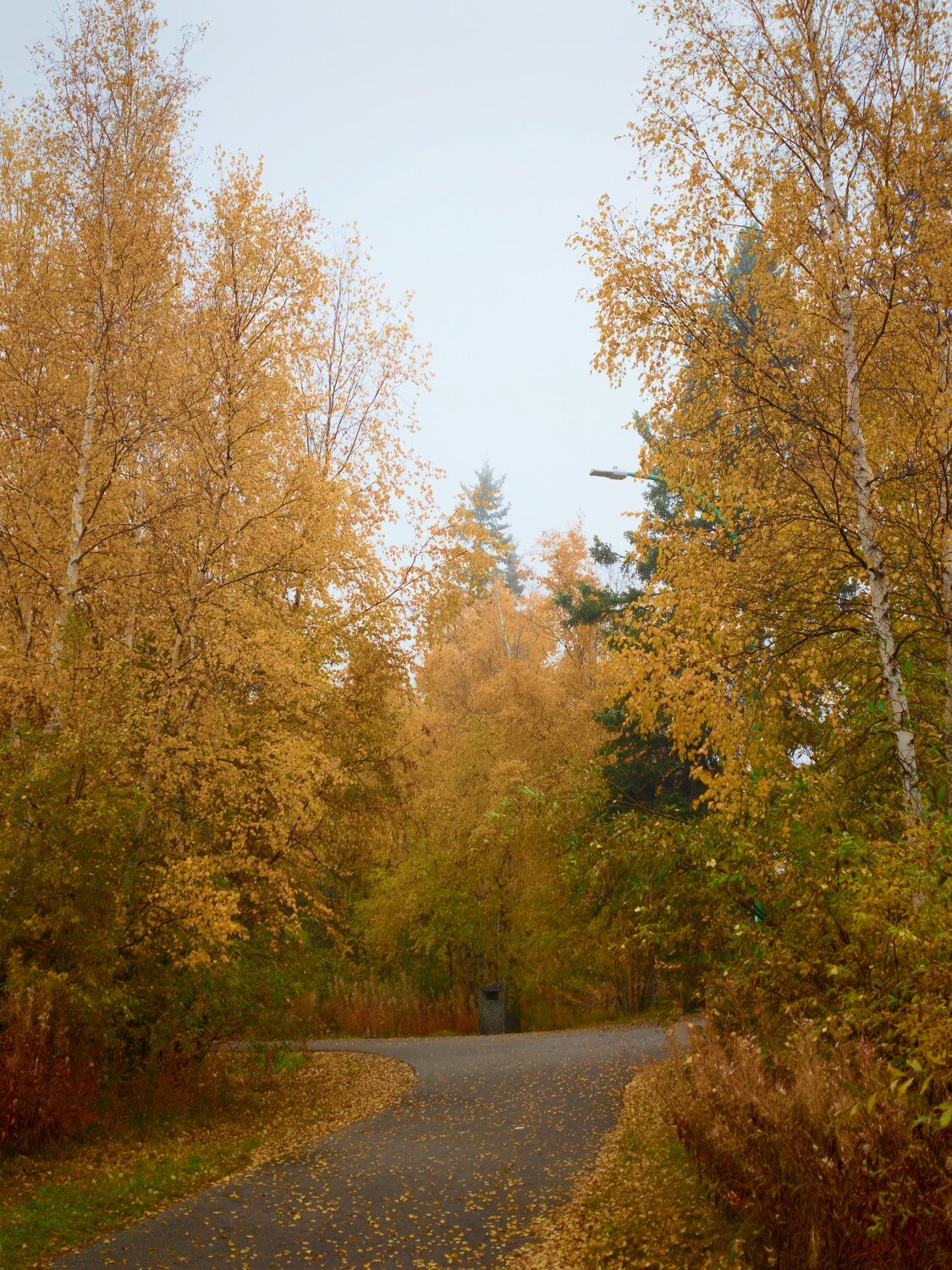 Photo #14126983