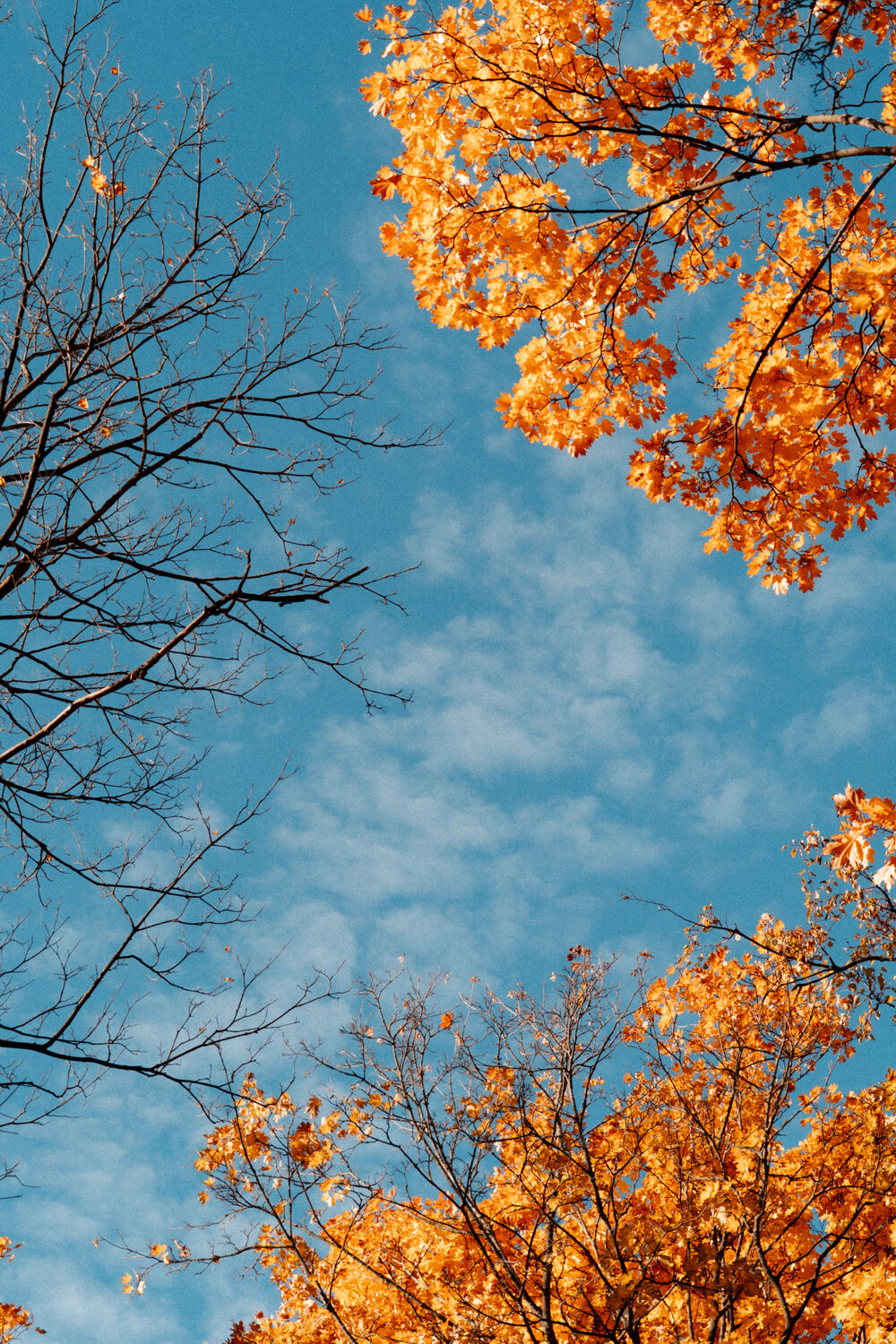 Photo #14127039