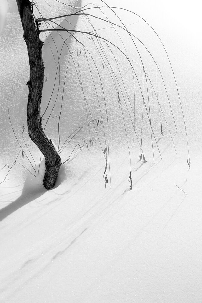 Photograph by Tатьяна Дин