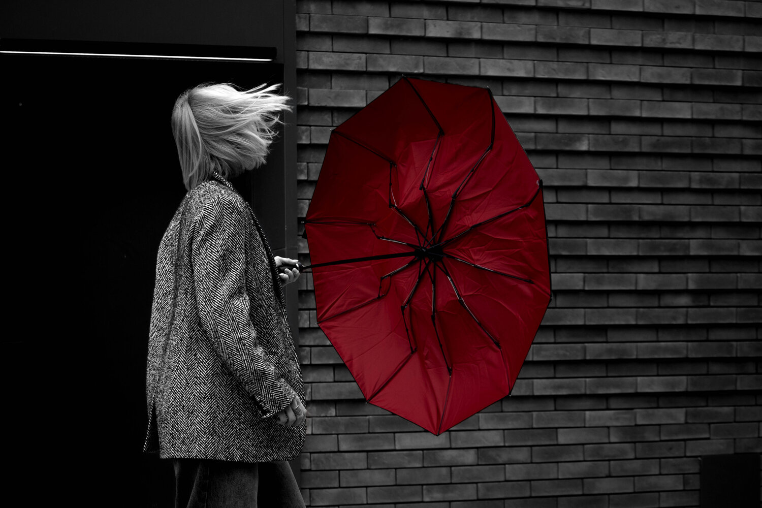 Photo #14127112
