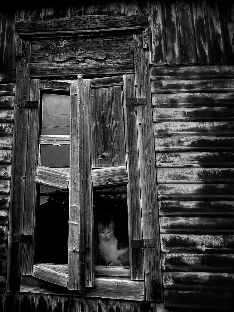 Фотография автора Оксана Захарова