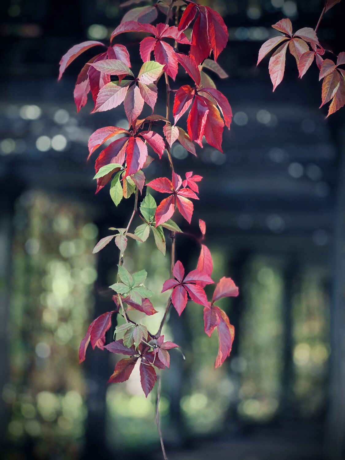 Photo #14127207