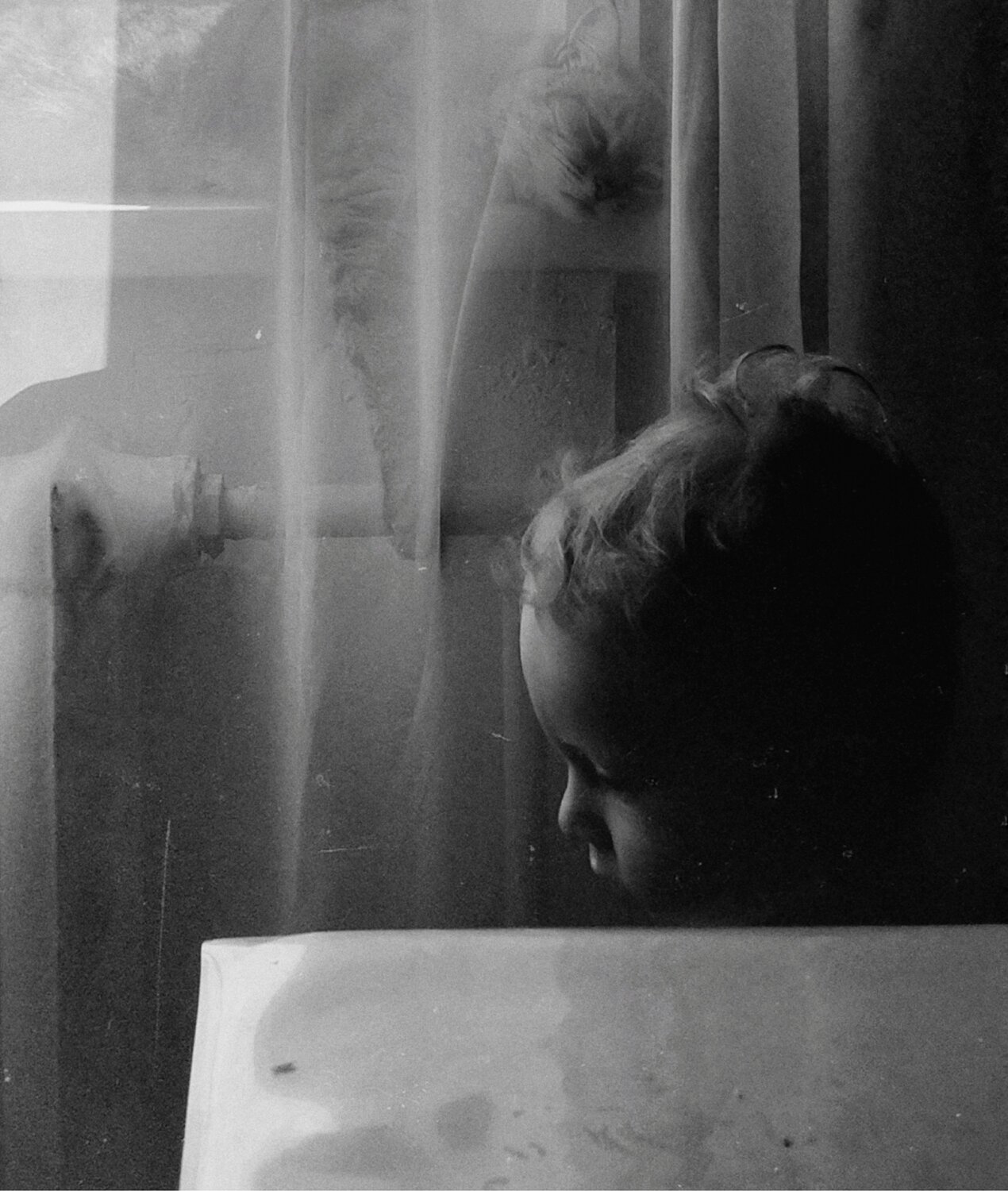 Photo #14127381
