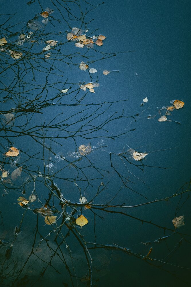 Photograph by Наталья Тополевская
