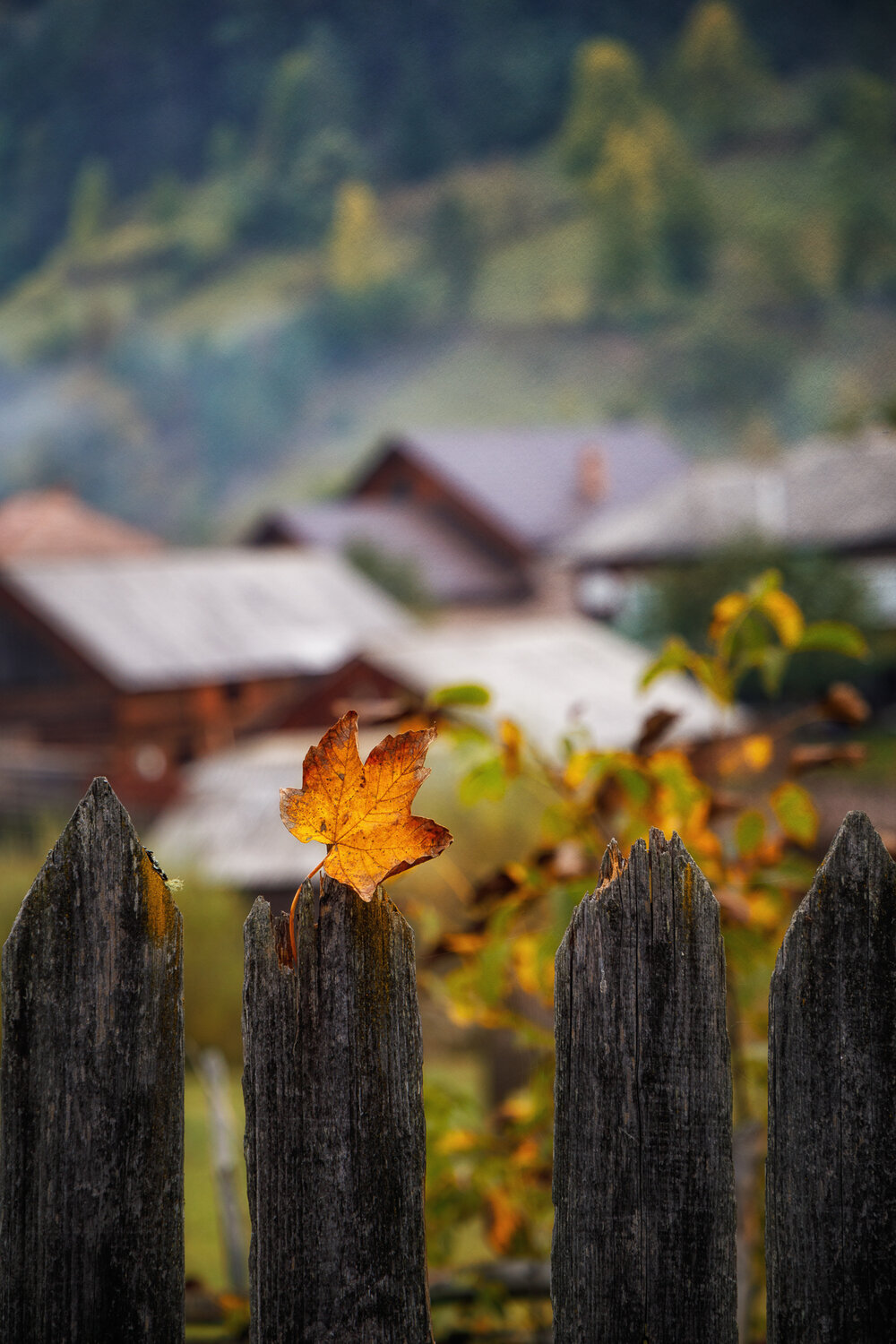 Фотография #14127562