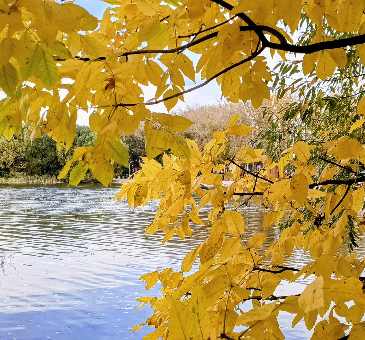 Photo #14127563