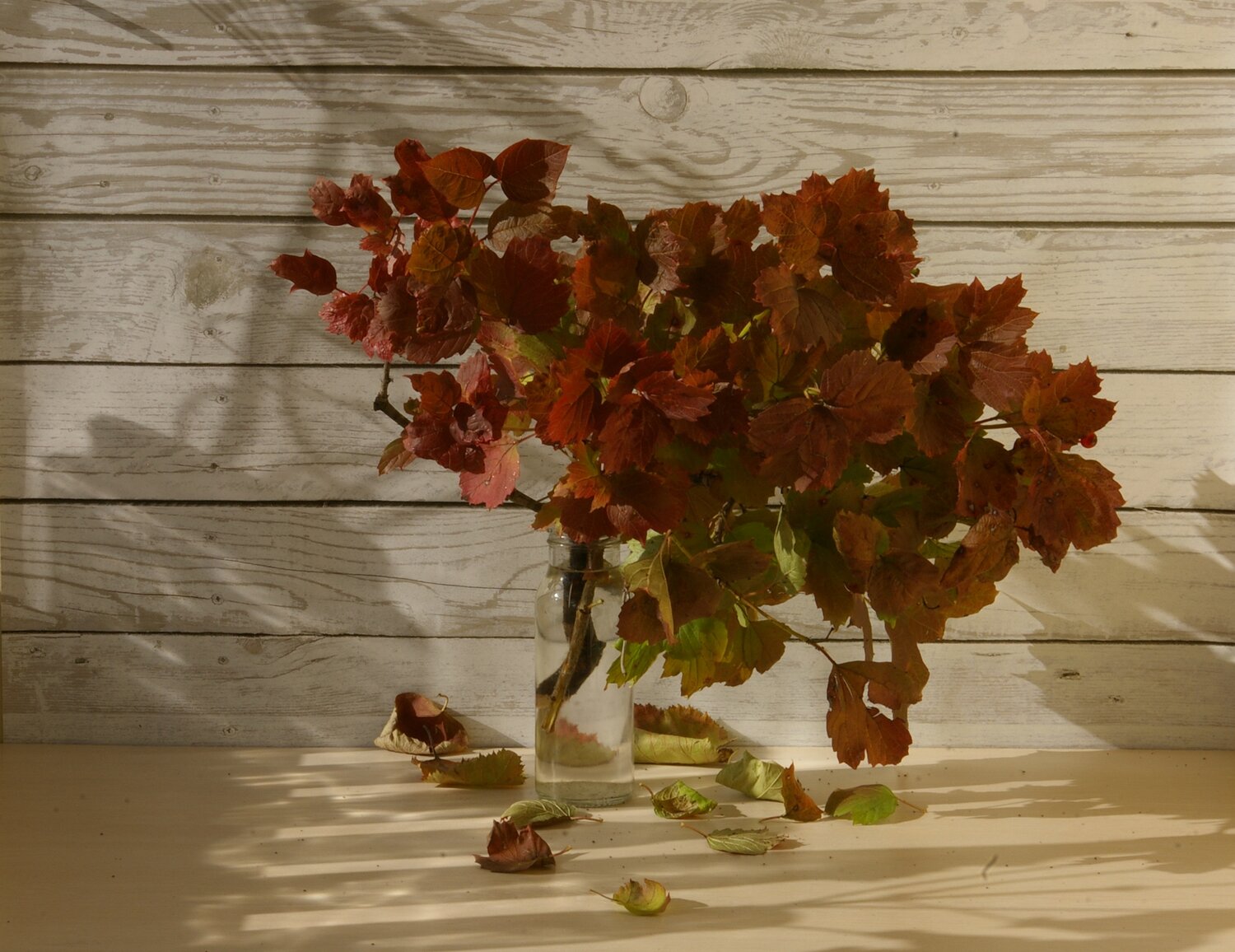 Photo #14127599