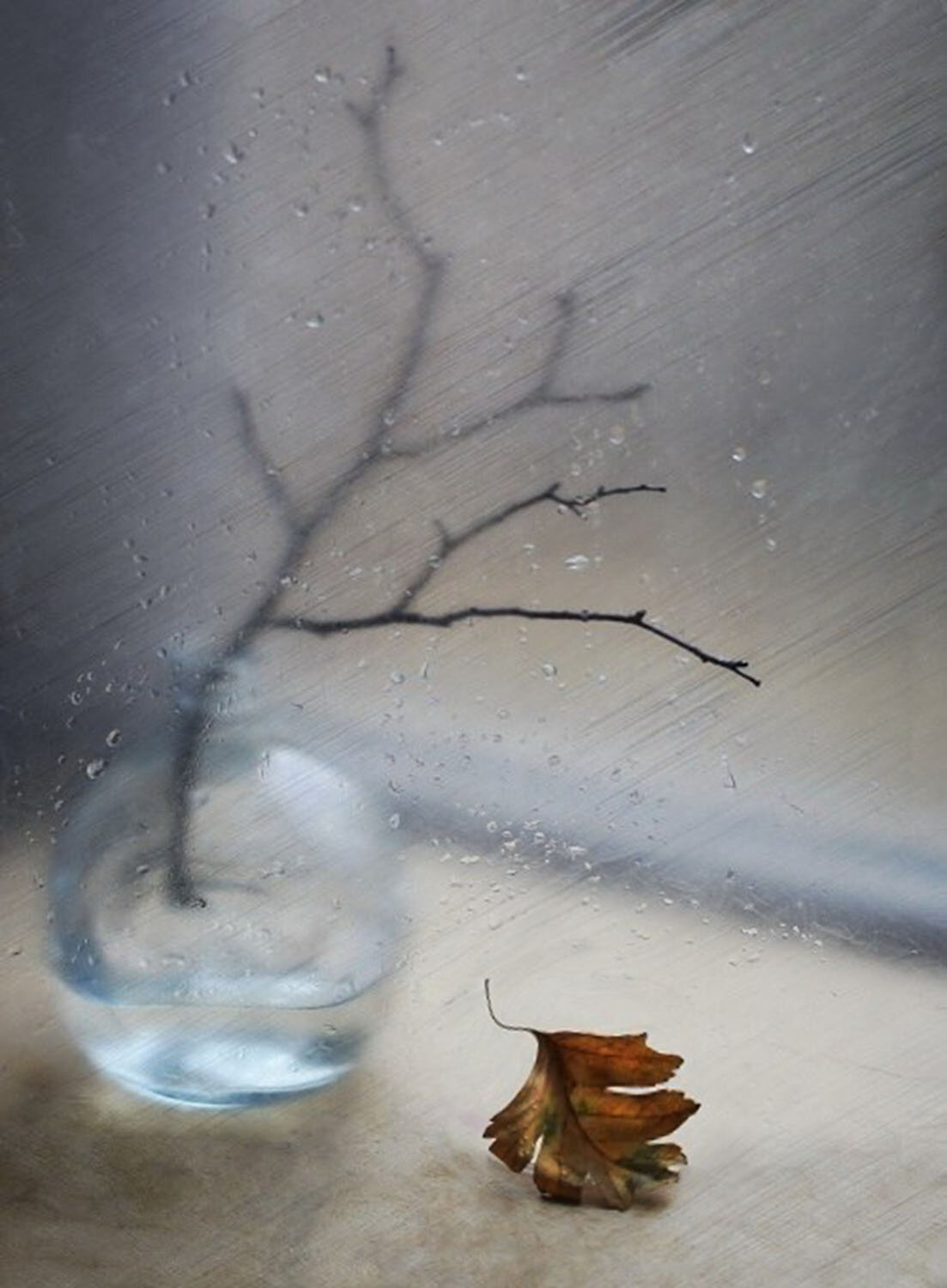 Photo #14127640
