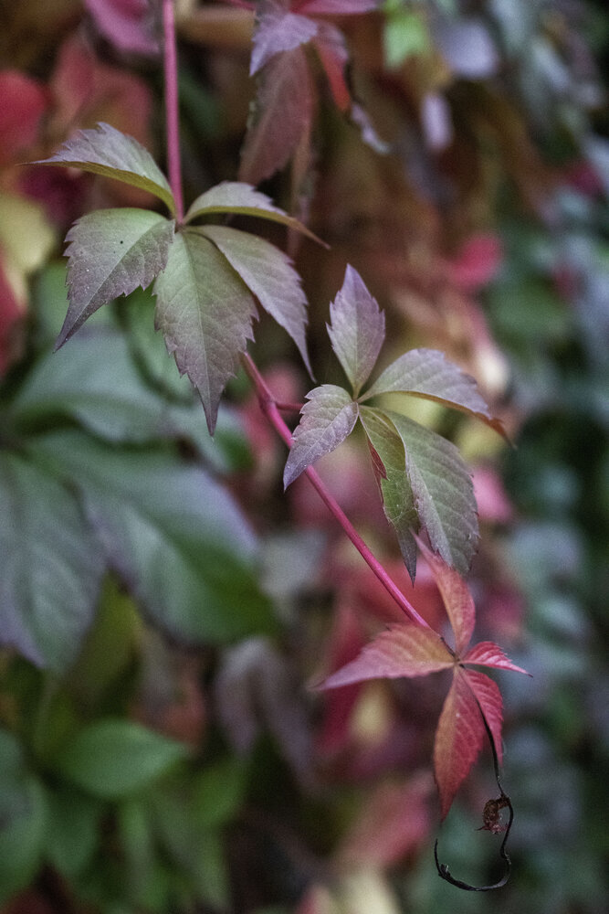 Photograph by Веста Ягужинская