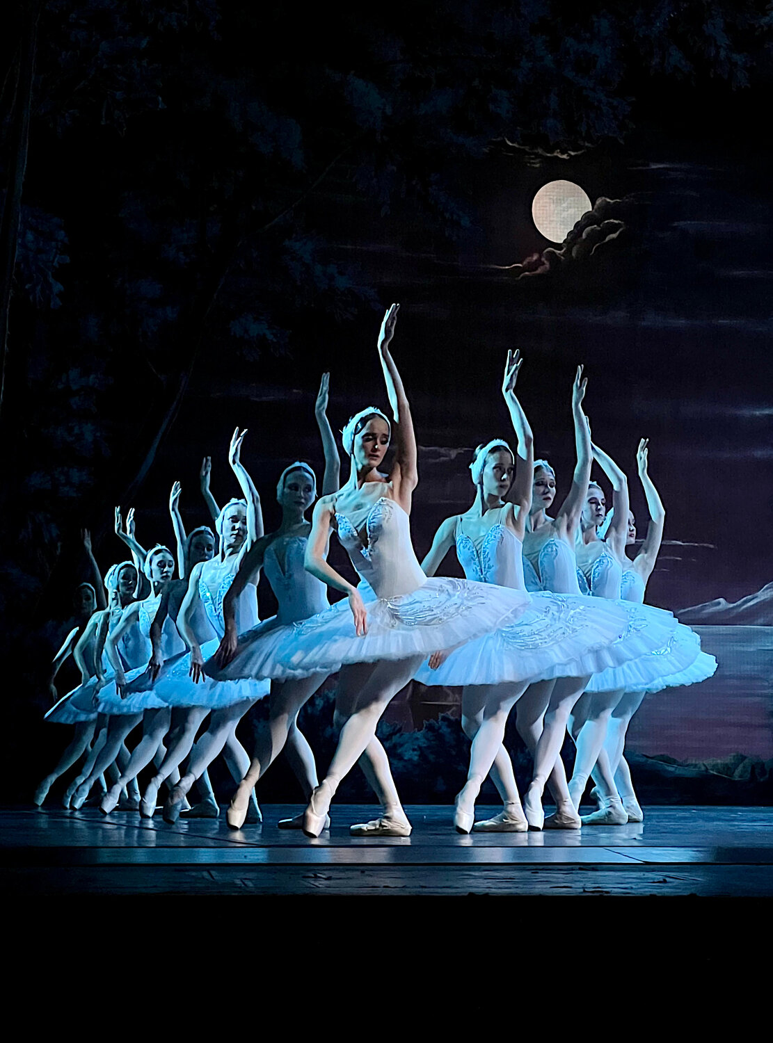 Лебединая верность / Swan Fidelity