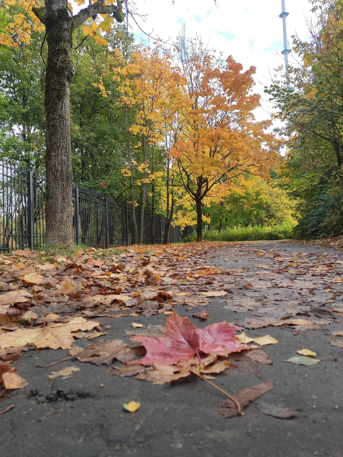 Photo #14127707